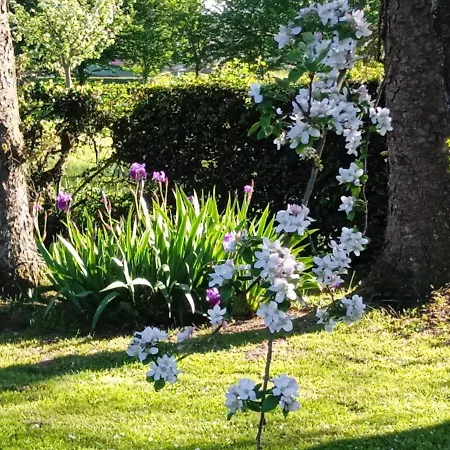 Les Hortensias Bed & Breakfast La Feuillie (Seine-Maritime)